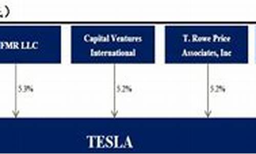 特斯拉公司主要股东有哪些,特斯拉公司主要股东