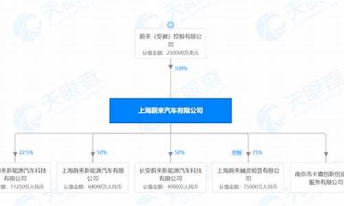 2020蔚来汽车十大股东,蔚来汽车10大股东