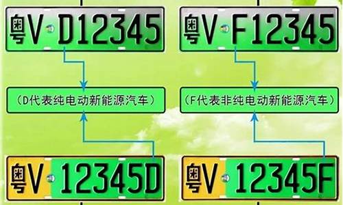 新能源汽车厂商牌照_新能源汽车厂商牌照图片