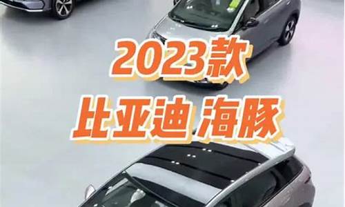 比亚迪海豚2021款-比亚迪海豚官方配置表